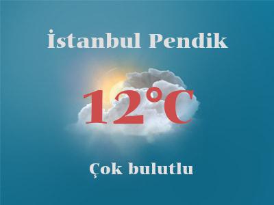 Hava Durumu İstanbul Pendik
