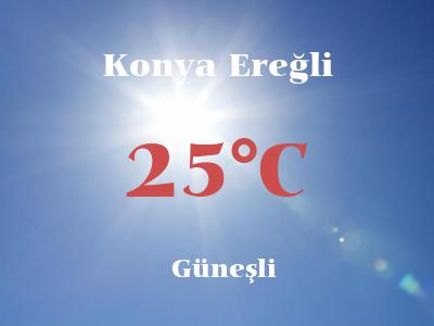 konya altinekin 25 gunluk hava durumu